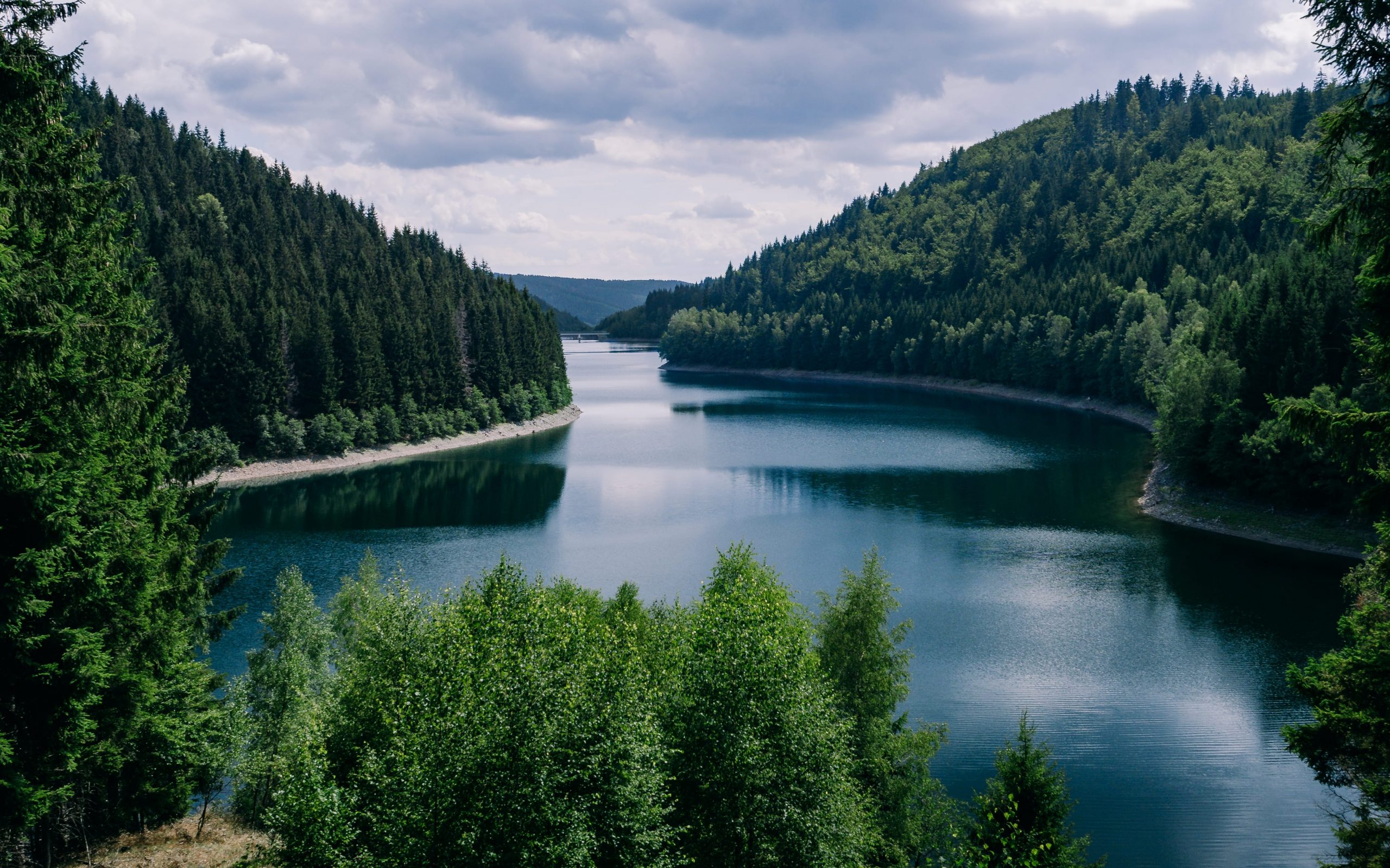 Bild von freepik zeigt eine schöne Aussicht auf See und Wald eine Vision, die therapinum bieten möchte